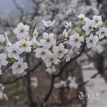 北京创艺乡居民宿酒店提供图片