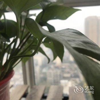 西安小豆子吖公寓酒店提供图片