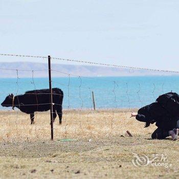 青海湖藏族秘岸客栈酒店提供图片