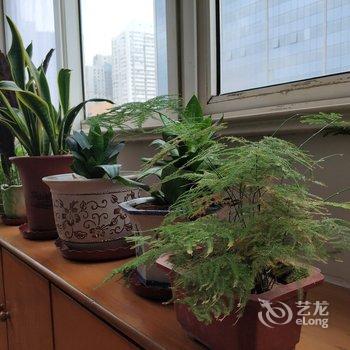 青岛William公寓酒店提供图片