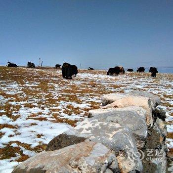 青海湖藏族秘岸客栈酒店提供图片