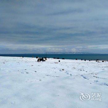 青海湖藏族秘岸客栈酒店提供图片