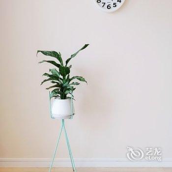 青岛孙雯丽公寓酒店提供图片