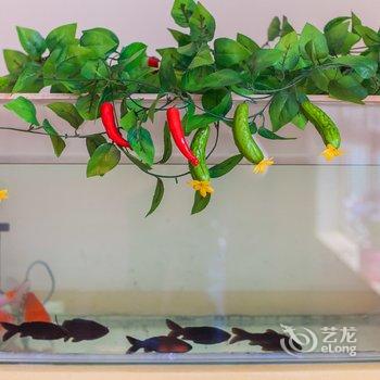 青岛金沙滩一家亲公寓酒店提供图片