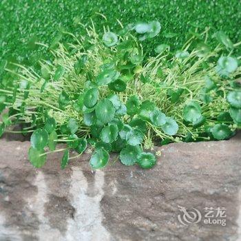 北京十渡九玖民宿酒店提供图片