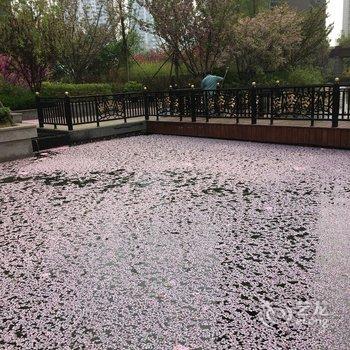 青岛海岸风情陶然居公寓酒店提供图片