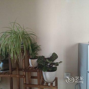 青岛李姐民宿(东岳中路分店)酒店提供图片