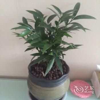 青岛李姐民宿(东岳中路分店)酒店提供图片