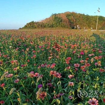 嵊泗独聚憶阁民宿酒店提供图片