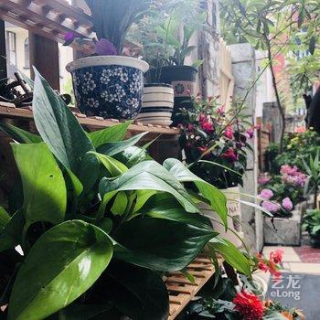 ����������ջ(�ɶ��Ÿ����õ�)�Ƶ��ṩͼƬ