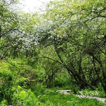 宁陕秦岭悠然山度假酒店酒店提供图片