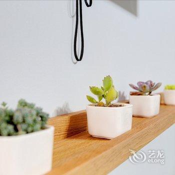 西安赵萌公寓酒店提供图片