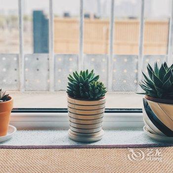 北京王一初tino公寓酒店提供图片