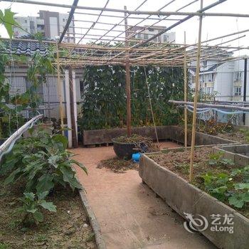 广州精品民宿酒店提供图片