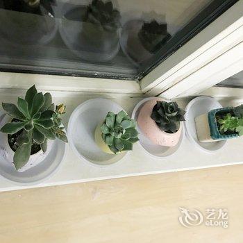 青岛夏风的阳光房公寓(2号店)酒店提供图片