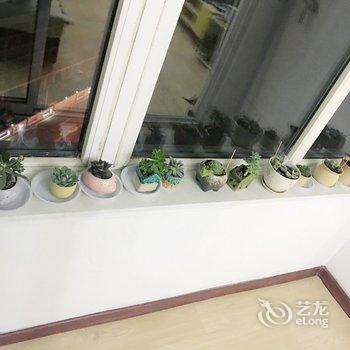 青岛夏风的阳光房公寓(2号店)酒店提供图片