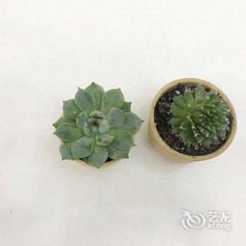 青岛夏风的阳光房公寓(2号店)酒店提供图片