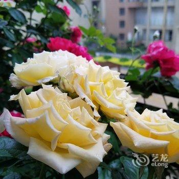 青岛海峰家公寓(8号店)酒店提供图片