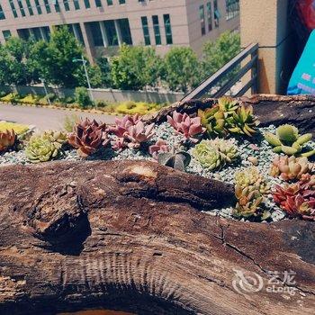 青岛海峰家公寓(8号店)酒店提供图片