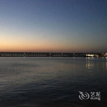 青岛会游泳的大熊猫公寓酒店提供图片