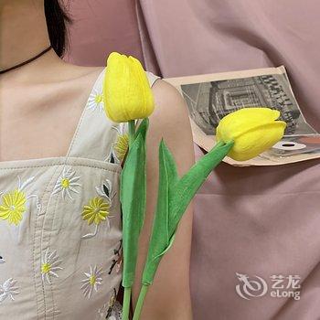 重庆本少女公寓酒店提供图片