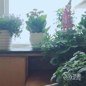 青岛雨桐美宿公寓酒店提供图片