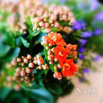 青岛雨桐美宿公寓酒店提供图片