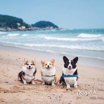 青岛山海阁民宿酒店提供图片