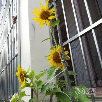 青岛七姐公寓酒店提供图片