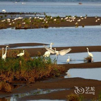 北戴河木言说客栈酒店提供图片