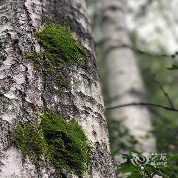 五台驼梁山避暑山庄酒店提供图片