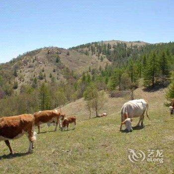 五台驼梁山避暑山庄酒店提供图片