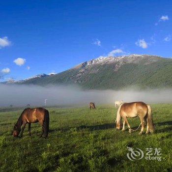 喀纳斯雪松山庄酒店提供图片