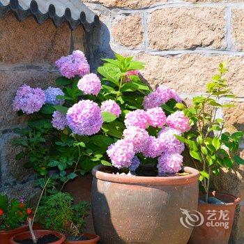 青岛依山原舍民宿酒店提供图片