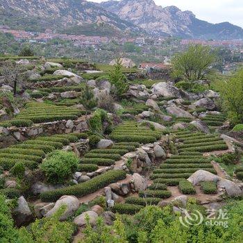 青岛依山原舍民宿酒店提供图片
