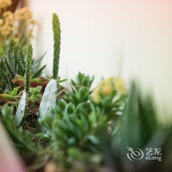 重庆我叫瞿嘛黑公寓酒店提供图片