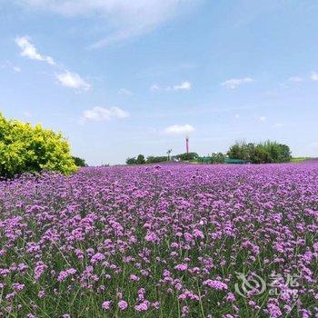 成都蔚然花海花坡闲寓客栈酒店提供图片