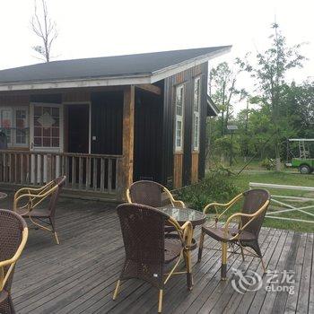 成都蔚然花海花坡闲寓客栈酒店提供图片
