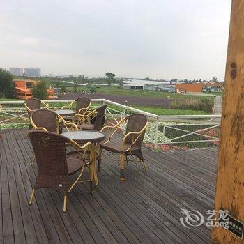 成都蔚然花海花坡闲寓客栈酒店提供图片