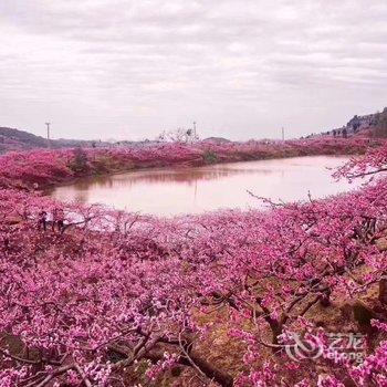 成都守护生命公寓酒店提供图片