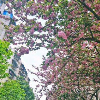成都守护生命公寓酒店提供图片