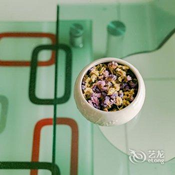 成都绿荫公寓(东坡村分店)酒店提供图片