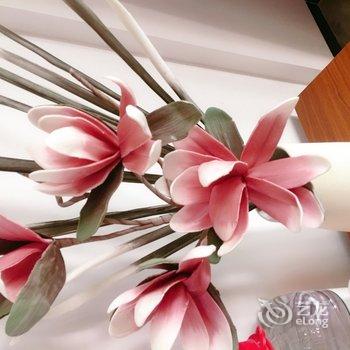 驻马店花生z公寓酒店提供图片