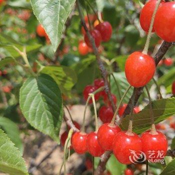 青岛诸葛下葛民宿酒店提供图片