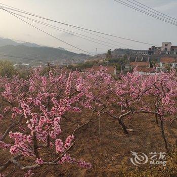青岛诸葛下葛民宿酒店提供图片