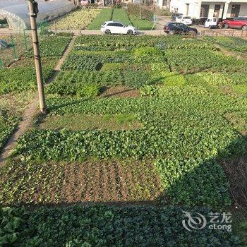 上海宜轩居特色民宿酒店提供图片