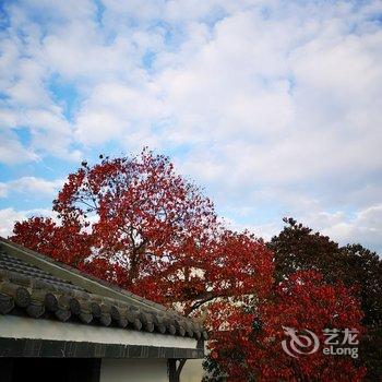 武汉花晨月夕民宿酒店提供图片