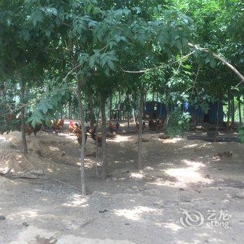 济宁曲阜圣城广场豪华公寓(阮家村分店)酒店提供图片