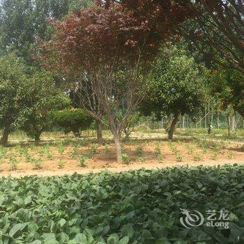 济宁曲阜圣城广场豪华公寓(阮家村分店)酒店提供图片