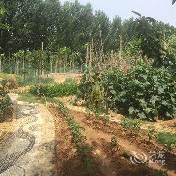 济宁曲阜圣城广场豪华公寓(阮家村分店)酒店提供图片